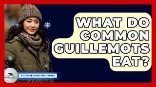 What Do Common Guillemots Eat? - Polar Regions Uncovered