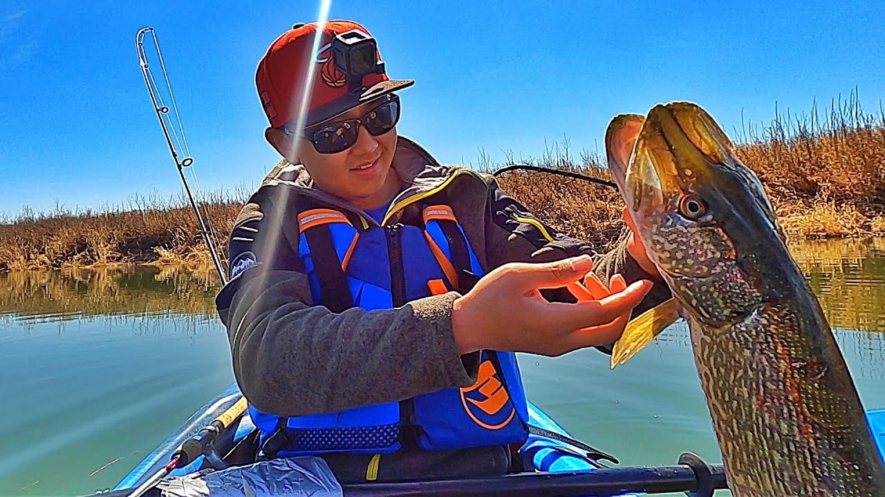 Kayak Fishing Shallow River for Big Spring Pikes - Saskatchewan Fishing  Opener Part 1 