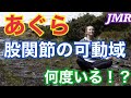 【ご存知ですか！？】あぐらに必要な股関節可動域とは！？