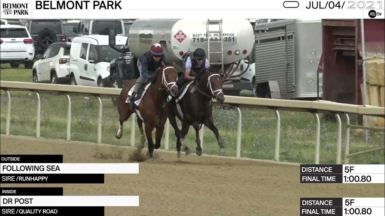 Analysis and handicapping preview of the Haskell Stakes from Monmouth