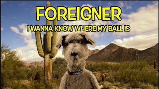 FOREIGNER  I WANNA KNOW WHERE MY BALL IS