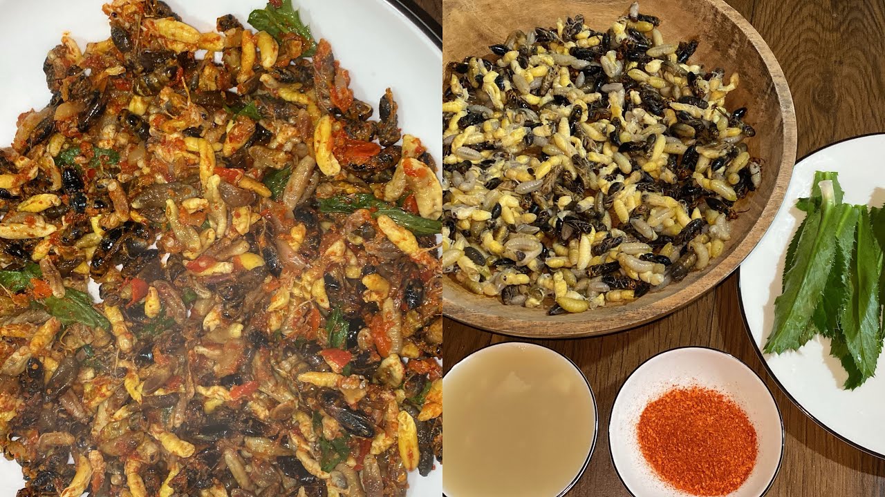 Hornet larvae slow-cooked in bamboo shoot water — a rich, smoky Naga delicacy.