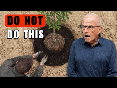 10 Landscaping Myths You Still Believe (Stop Doing These!)