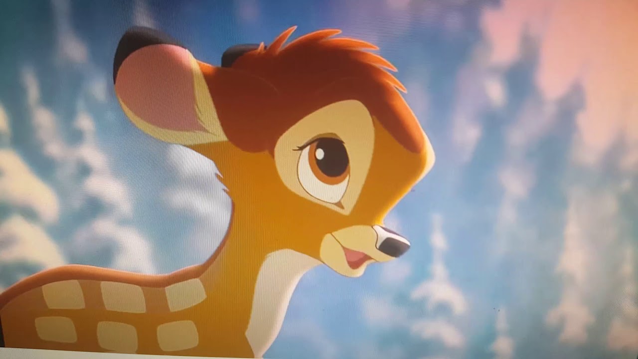 Brother Deer Trailer - YouTube