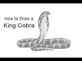 How to draw a snake king cobra