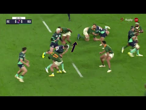 Final Whistle: Analyzing the referee performance in Ireland vs Springboks