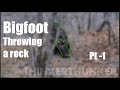 Provo Utah Bigfoot Throwing a Rock - Pt 1