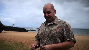 Use NLP qualities & explainations to sell like a persuasion expert - Scott Sylvan Bell