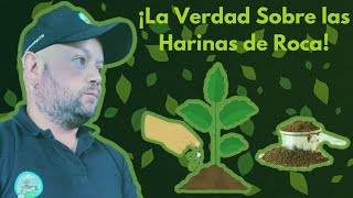 Como aplicar las Harinas de Roca en tus Cultivos ¡La verdad te sorprendera!