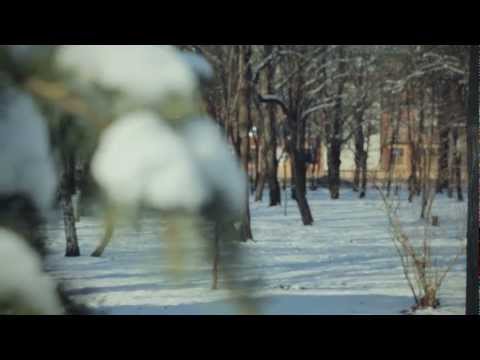 Видеоролик: Чистяковская роща или Первомайский парк