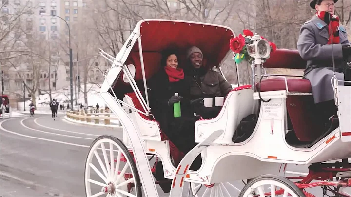 S'Well insulated drink bottle Botanex