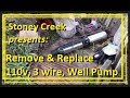 Remove & Replace 110v, 3 wire, 1/2 hp Submersible Well Pump
