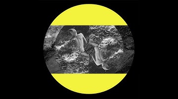 Roll Dann - Traps of Desire [ IARLTDT009]