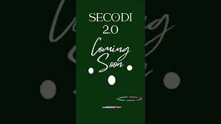 Intro To Secodi 2.0