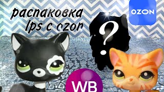 : LPS:    OZON//