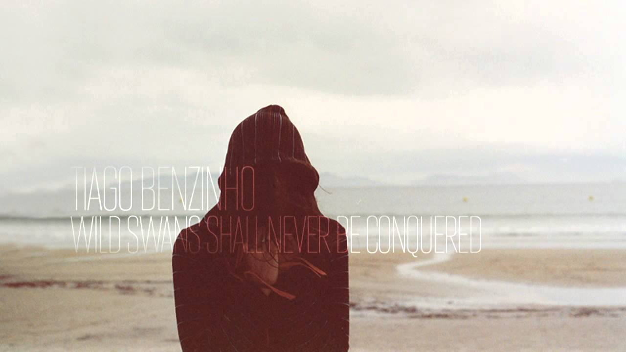 Tiago Benzinho — Wild Swans Shall Never Be Conquered