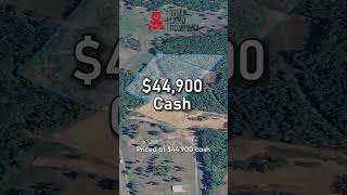 🏞️ 11.73 Acres – Wooded East Texas Escape Near Toledo Bend &amp; Sabine River! #shorts