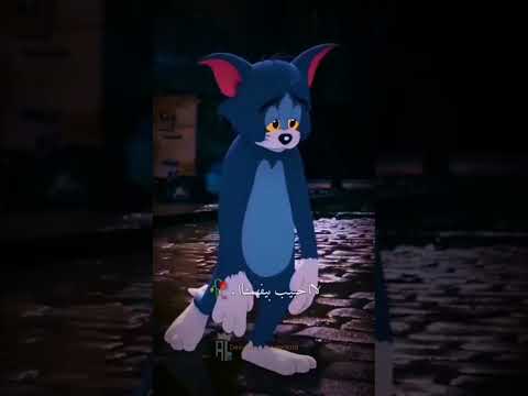 هنقول لمين طيب استوري ربنا يوعدنا