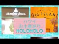 【ハワイの人気お土産】  クッキーshop巡り  #3