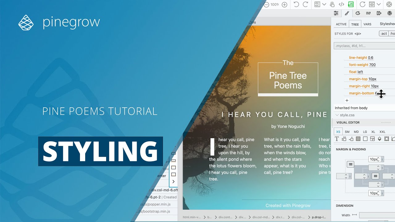 Pine Poems Tutorial - CSS Editing with the Style Panel - YouTube