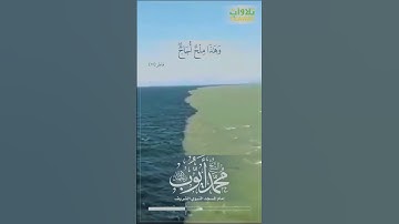 تلاوة خاشعة الشيخ محمد أيوب رحمه الله