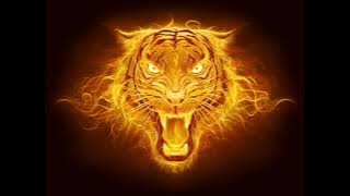 Ashwini Ye Na High Gain - Dj Ajay Nevari ( Vita )