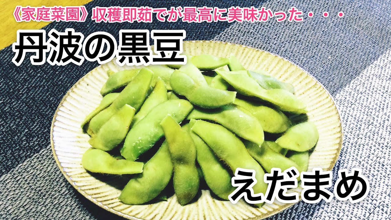 家庭菜園 丹波の黒豆を枝豆で食す 枝豆の茹で方 Youtube