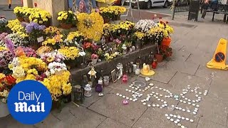 Town centre pays respects to Alice Gross funeral procession - Daily Mail