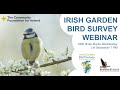 Birds Connect Irish Garden Bird Survey Webinar - 1st December 2021