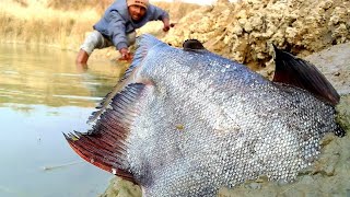 Top 10 Hand Fishing Video River Side Excellent Searching For Catching Big Fish Underground