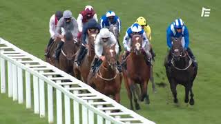 Vidéo de la course PMU HARDWICKE STAKES