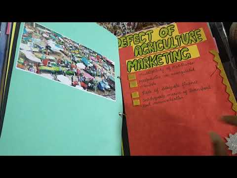 Economics project class