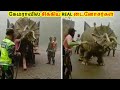      ancient creature caught on camera tamil  vikky pictures