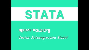 STATA를 활용한 시계열분석 - (21) 벡터자기회귀모형(VAR)(Vector Autoregressive Model)
