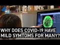 Why Do So Many People Have Mild Responses to COVID-19? | NBCLA