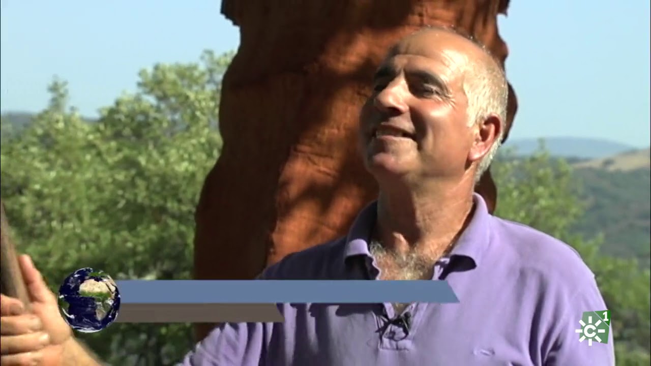 Tierra y Mar | Las interesantes oportunidades que ofrecen los montes andaluces