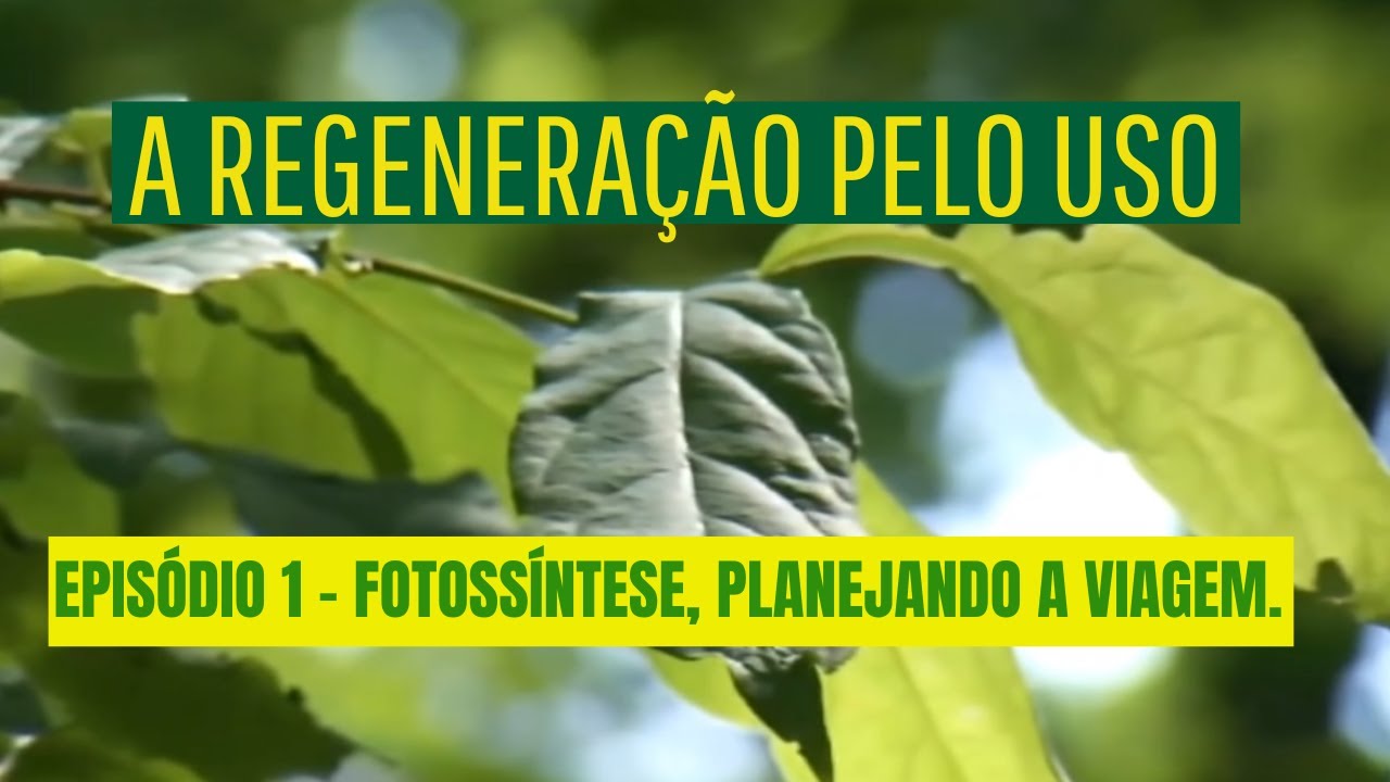 A REGENERAÇÃO PELO USO - EPISÓDIO 1 - Fotossíntese, planejando a viagem.