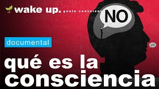 Explicación científica de la Consciencia