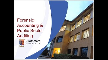 Forensic Auditing & Public Sector Auditing