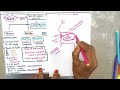 Quick REVISION😃NEET|SURE important mcqs in human physiology|digestion &amp; absorption|#neet #education