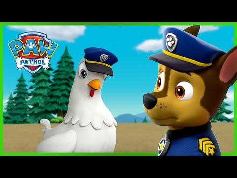 Chase and Chickaletta Change Bodies and More! | PAW Patrol | Cartoons for Kids Compilation