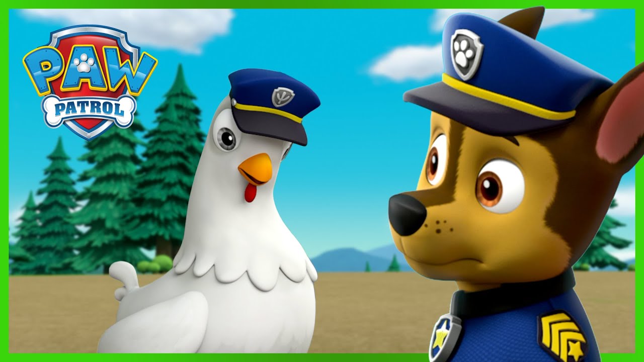 Chase And Chickaletta Change Bodies And More Paw Patrol Cartoons