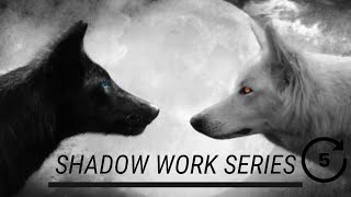 Shadow Work Series Part 5 Net Worth