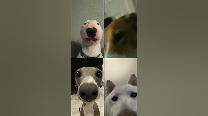 How did she get a hold of my phone
