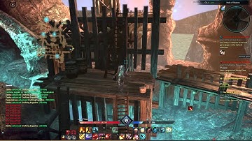 Tera bug?
