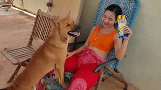 CUTE GIRL OWNER IS FEEDING HER BELOVED DOGGY