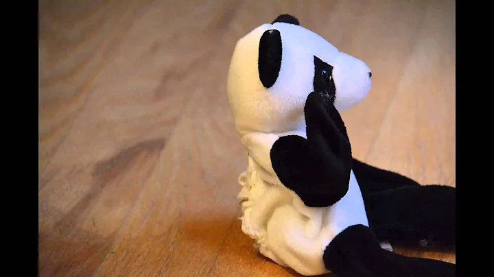 Jenn Raimondi College Demo Stop Motion