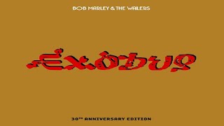 Bob Marley & The Wailers - Natural Mystic 🇯🇲 Hi-Res
