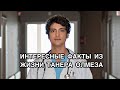 ИНТЕРЕСНЫЕ ФАКТЫ ИЗ ЖИЗНИ ТАНЕРА ОЛМЕЗА. Танер Олмез. Taner Ölmez. Турецкие актёры. Турецкие сериалы