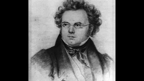 Paul Baumgartner plays Schubert's "Wanderer" Fanta...